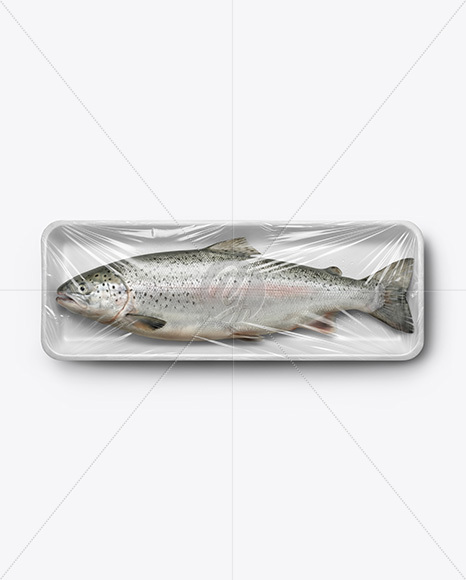 Tray With Salmon Fish Mockup