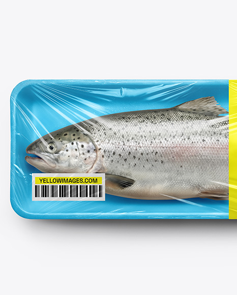 Tray With Salmon Fish Mockup