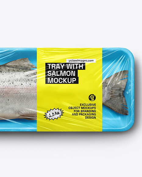 Tray With Salmon Fish Mockup
