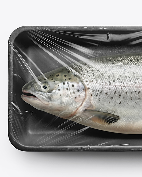Tray With Salmon Fish Mockup