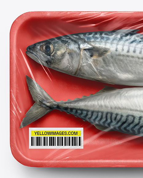 Tray With Two Mackerel Fish Mockup
