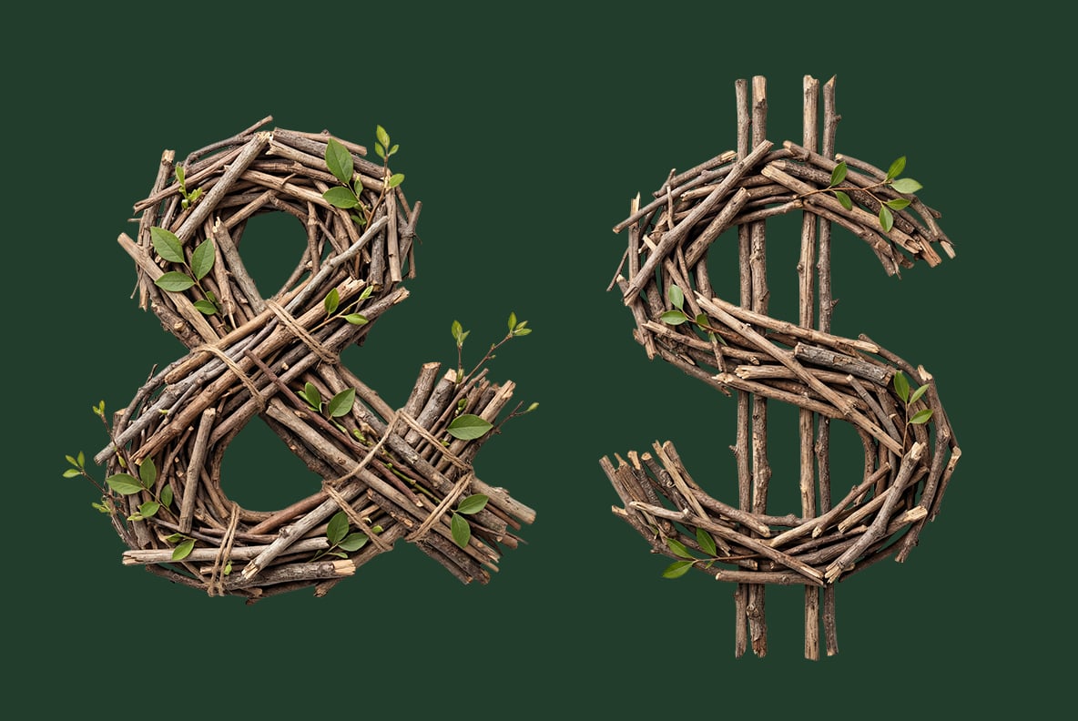 Twigwood Font