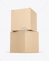 Two Kraft Boxes Mockup