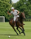 Woman Wearing Full Polo Kit on Horse Mockup