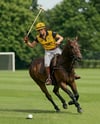 Woman Wearing Full Polo Kit on Horse Mockup