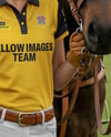 Woman Wearing Full Polo Kit with Horse Mockup