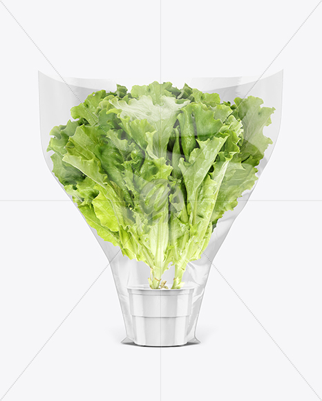Download Plastic Bag With Salad Mockup in Bag & Sack Mockups on ...