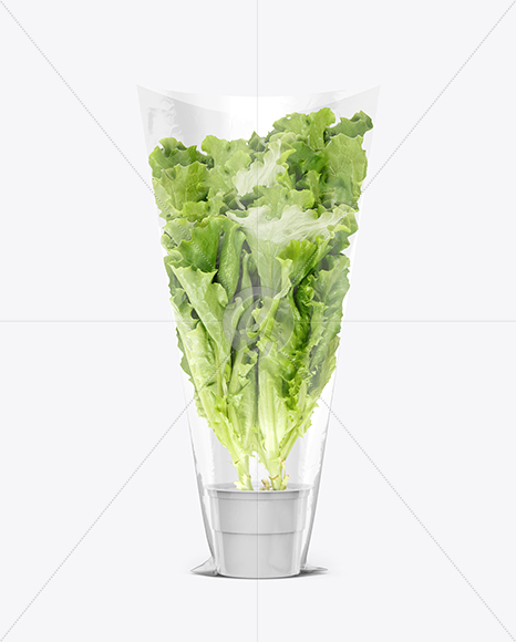 Download Plastic Bag With Salad Mockup in Bag & Sack Mockups on ...